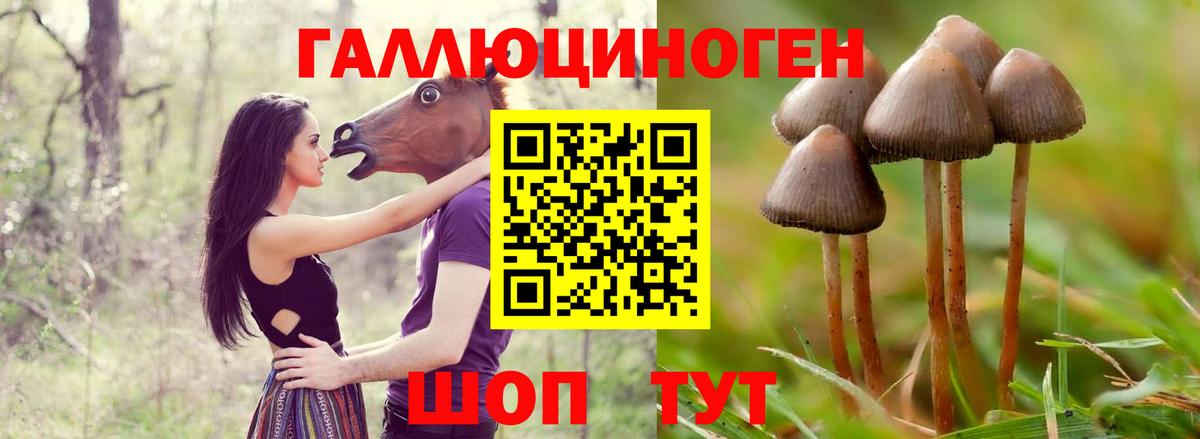 Псилоцибиновые грибы ЛСД  Псилоцибиновые грибы Cubensis  Губкинский  Вход с VPN 