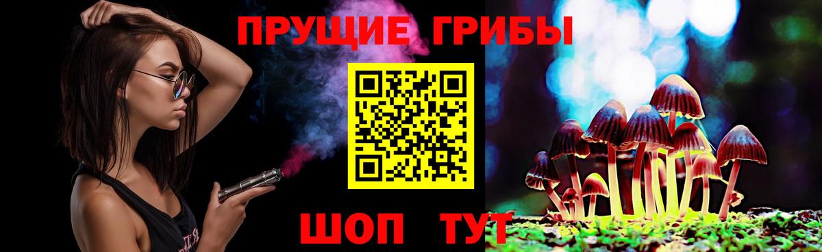 Галлюциногенные грибы мицелий Губкинский